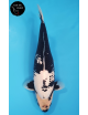 Matsukawabake 