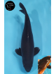 Magoi