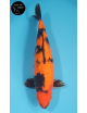 Hi Utsuri