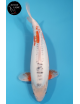 Shusui