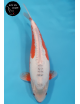 Shusui