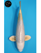 Mukashi