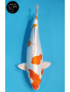 Kikusui