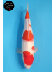 Kohaku