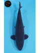 Karasugoi