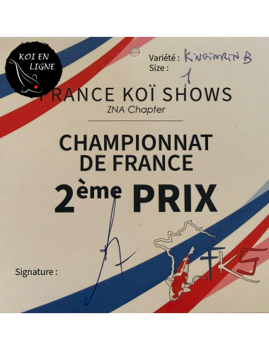 Ginrin Tancho Kohaku 2ème Prix FKS 2025
