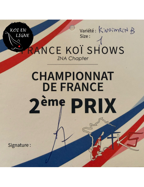 Ginrin Tancho Kohaku 2ème Prix FKS 2025