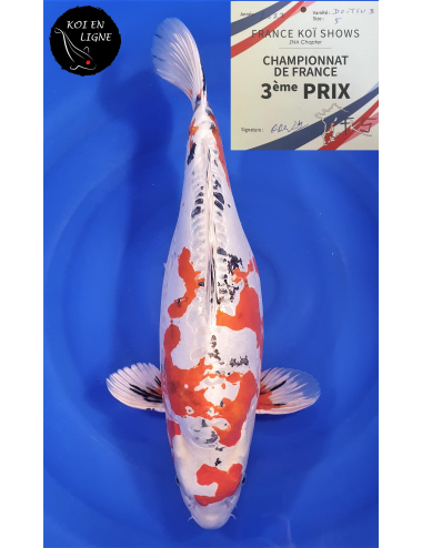 Doitsu Yamatonishiki 3ème Prix FKS 06/2023 