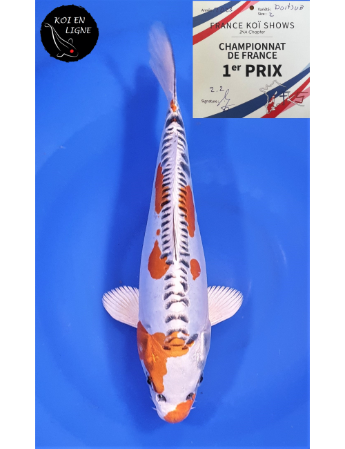 Doitsu Kujaku 1er Prix FKS 06/2023