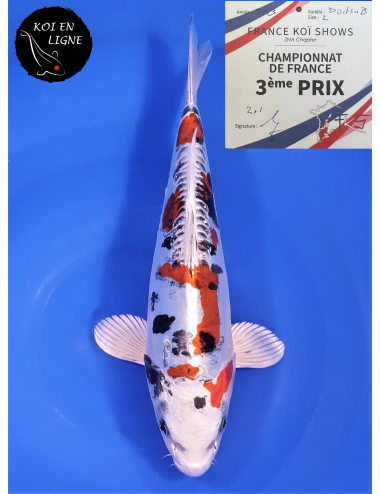 Doitsu Yamatonishiki 3ème Prix FKS 06/2023