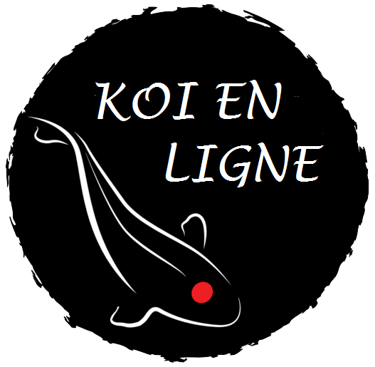 Koï en ligne