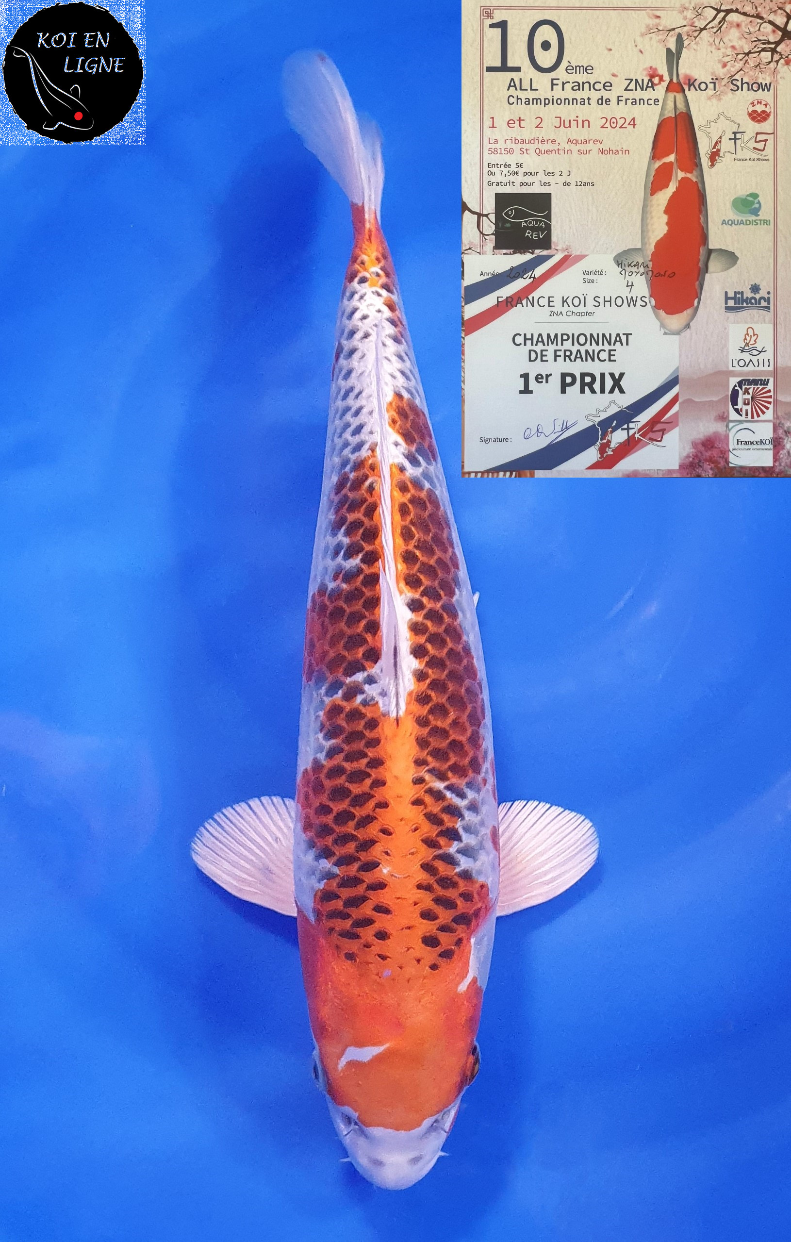 Kujaku 1er Prix FKS 2024