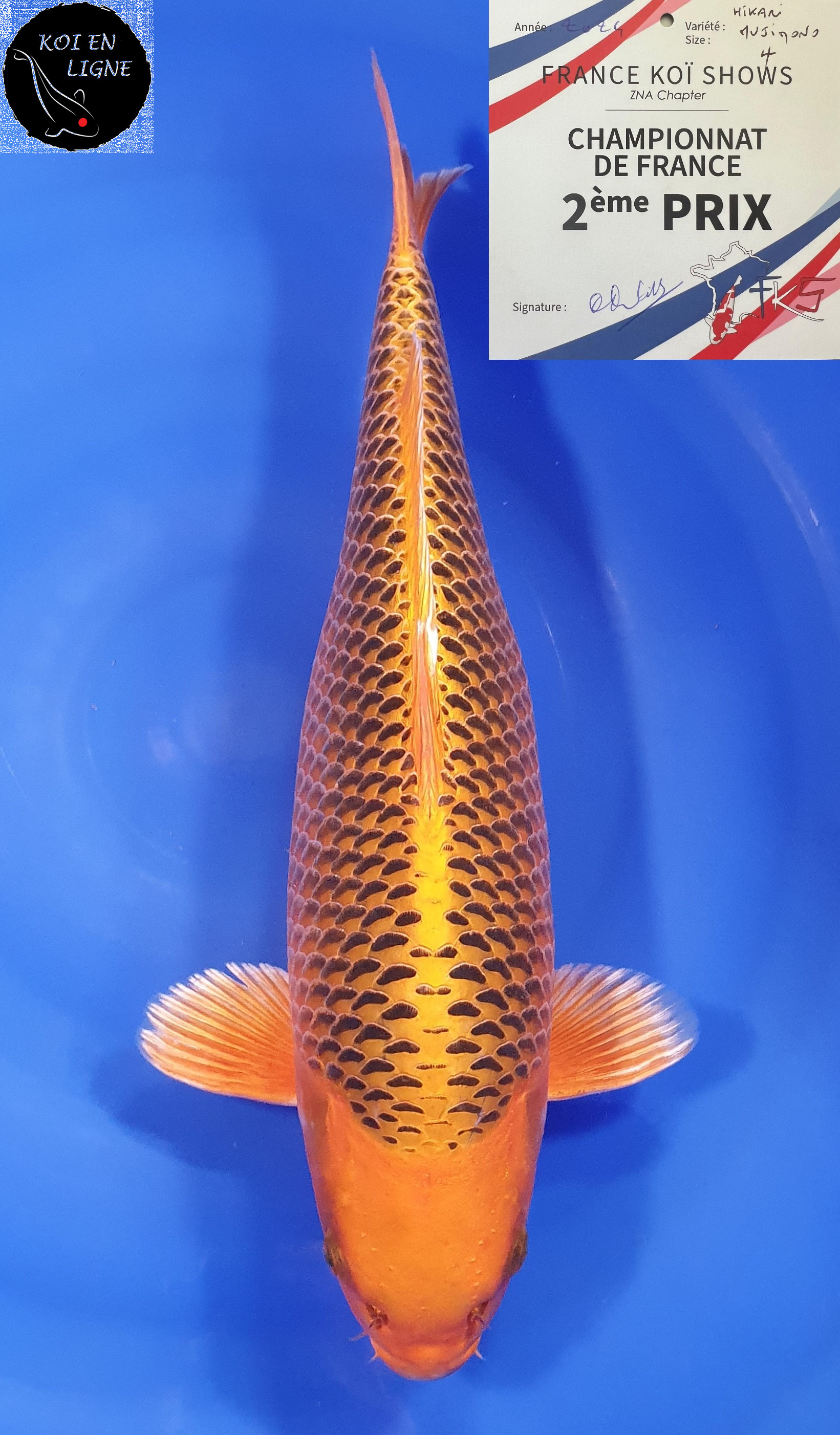 Kin Matsuba 2ème Prix FKS 2024