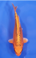 Mizuho