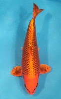 Kin Matsuba